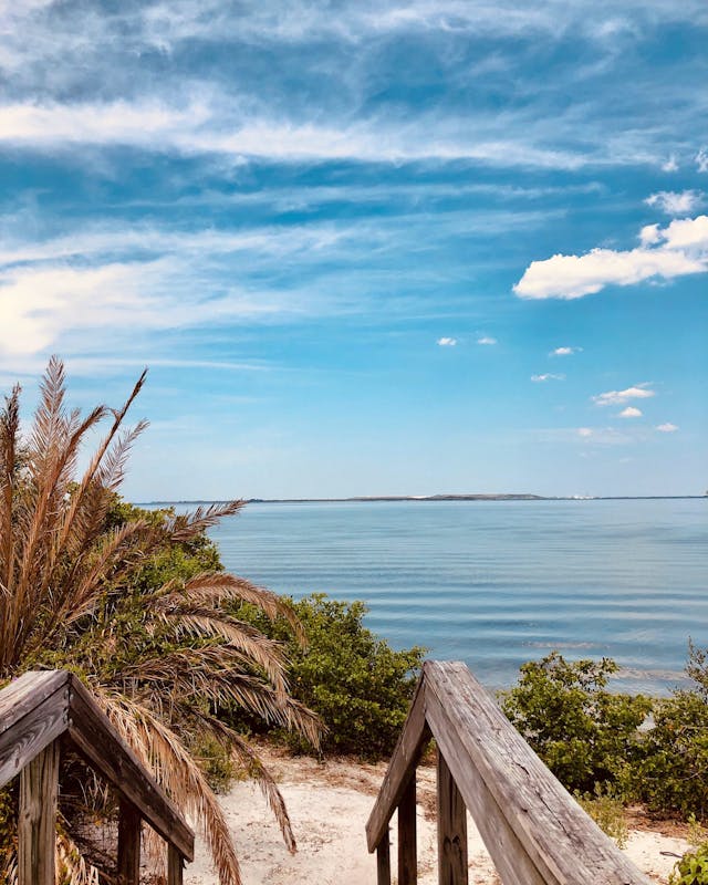 shoreline view from a boardwalk on a Florida beach