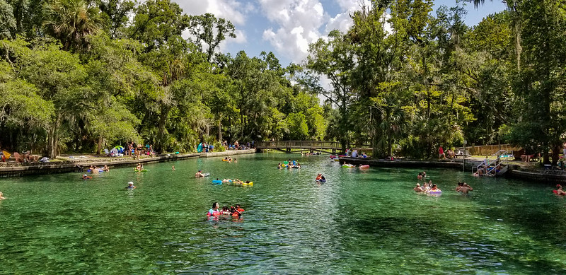 Wekiwa Springs in Central Florida